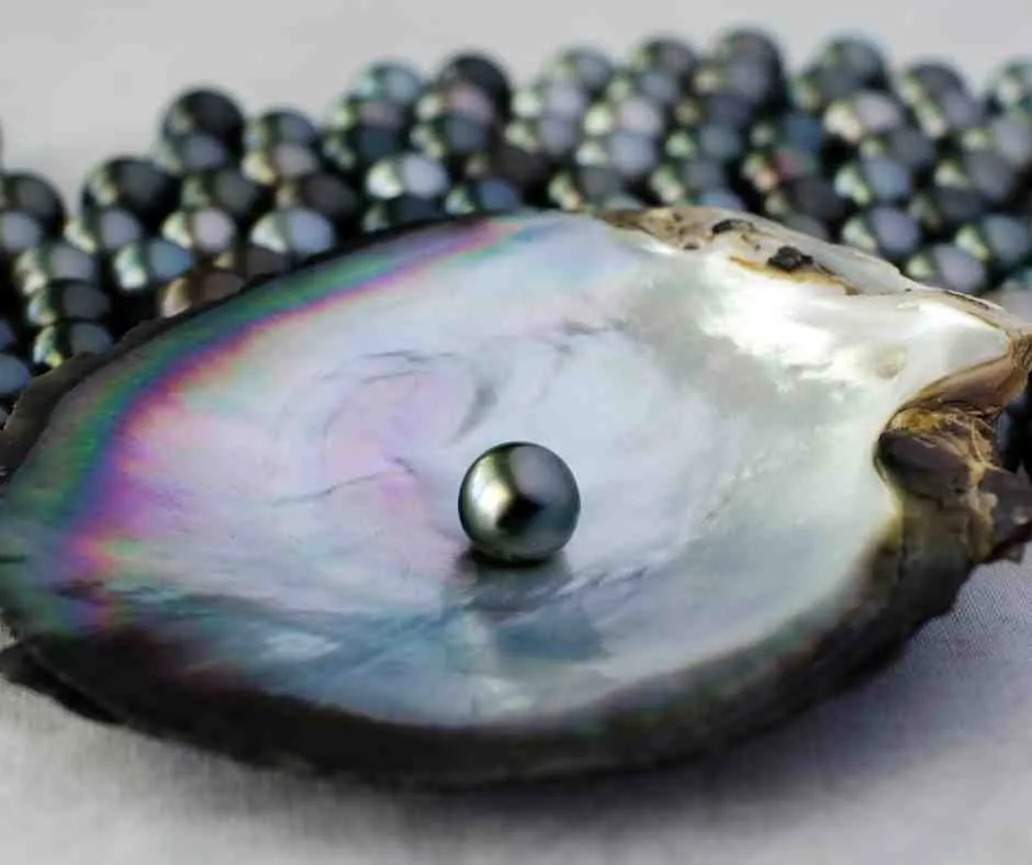 Black Tahitian Pearls