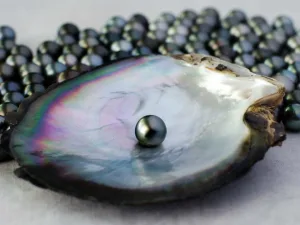 Uncovering the Symbolism and Meaning of Black Pearls